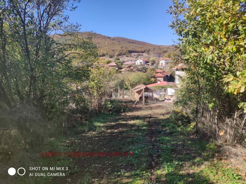Продава ПАРЦЕЛ в област Стара Загора, с. Ново село - 790 кв.м / 33 600 € » 65 715.89 лв., АДРЕС НЕДВИЖИМИ ИМОТИ