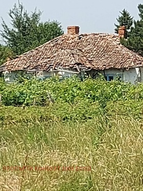 Maison Boinitsa, région Vidin 2