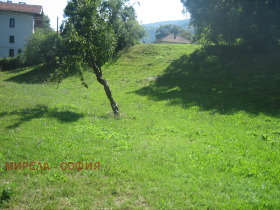 Plot Ribaritsa, region Lovech 1