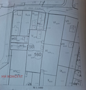 ����� ������� ������,���� �����, ����������