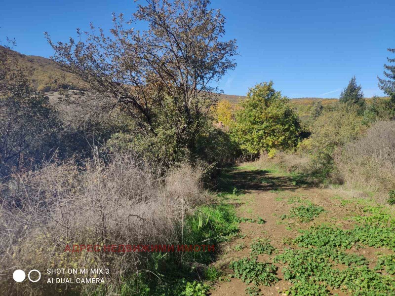 Продава ПАРЦЕЛ, с. Ново село, област Стара Загора, снимка 3 - Парцели - 52237305