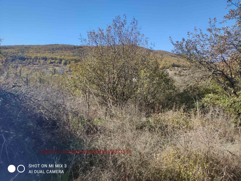 Продава ПАРЦЕЛ, с. Ново село, област Стара Загора, снимка 2 - Парцели - 52237305