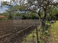 Продава КЪЩА, с. Кривня, област Варна, снимка 17