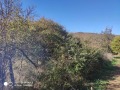 Продава ПАРЦЕЛ, с. Ново село, област Стара Загора, снимка 2
