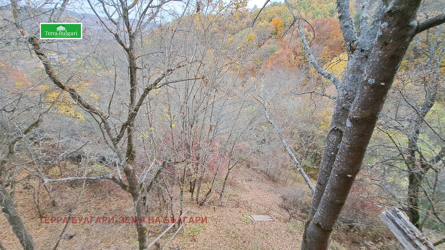 Продава КЪЩА | Imot.bg — изображение 16