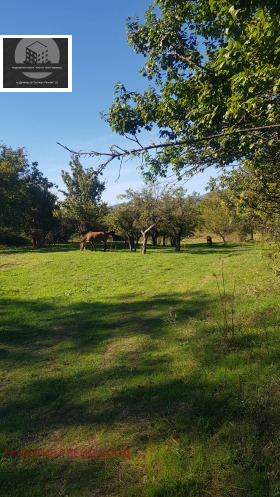 Plot Sapareva banya, region Kyustendil 1