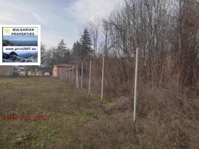 ����� ������� ������,���� �����, ���������