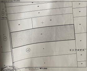 Terra Peitchinovo, região Ruse 1