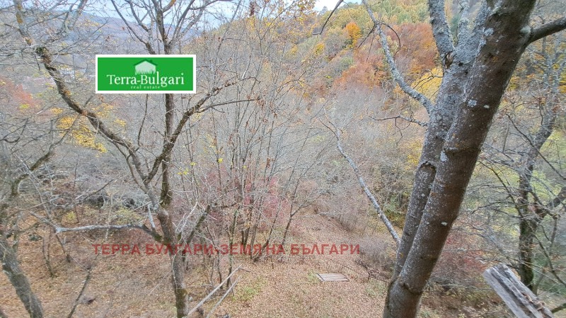 Till salu  Hus region Pernik , Rajavec , 117 kvm | 27835789 - bild [16]