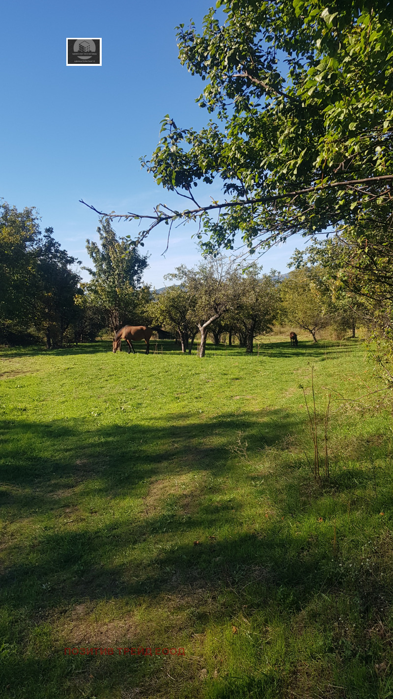 Te koop  Verhaallijn regio Kjoestendil , Sapareva banja , 3500 m² | 60614025