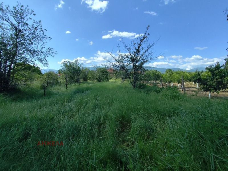 Продаја  Плот регион Пазарџик , Мененкјово , 758 м2 | 41244546