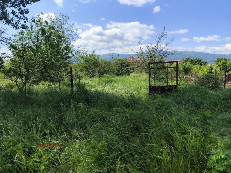Продаја  Плот регион Пазарџик , Мененкјово , 758 м2 | 41244546 - слика [4]