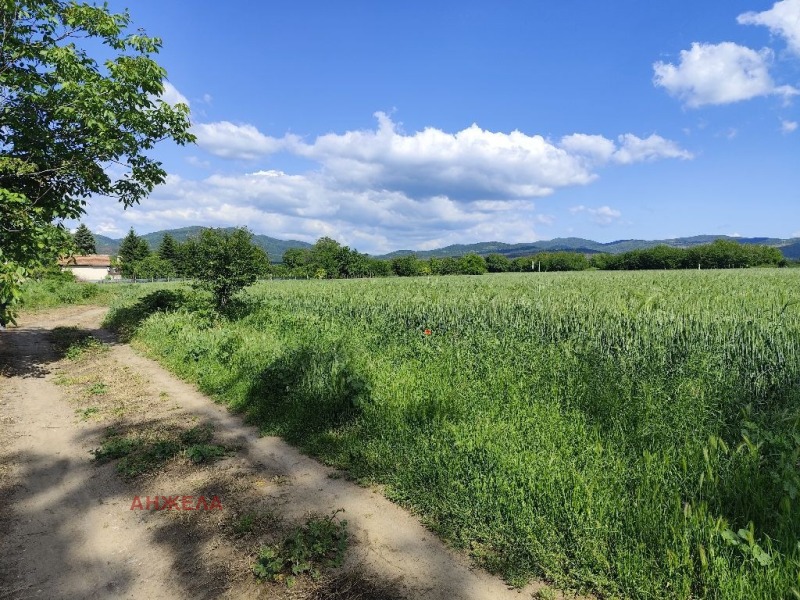 Продаја  Плот регион Пазарџик , Мененкјово , 758 м2 | 41244546 - слика [2]