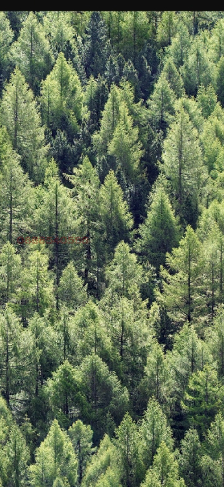 ������� ���������� ���� | Imot.bg � ����������� 1