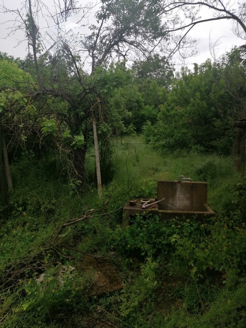 ������� ���� | Imot.bg � ����������� 6
