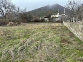 ����� ������� ������,��. �����, ������ �������