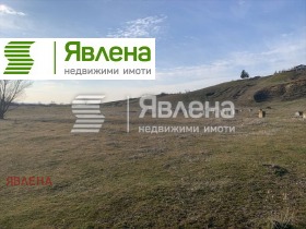 ����� ������� ������,�. �������������, ������ ������