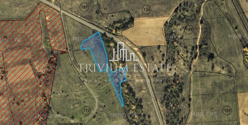 Продава ЗЕМЕДЕЛСКА ЗЕМЯ, с. Балабанчево, област Бургас