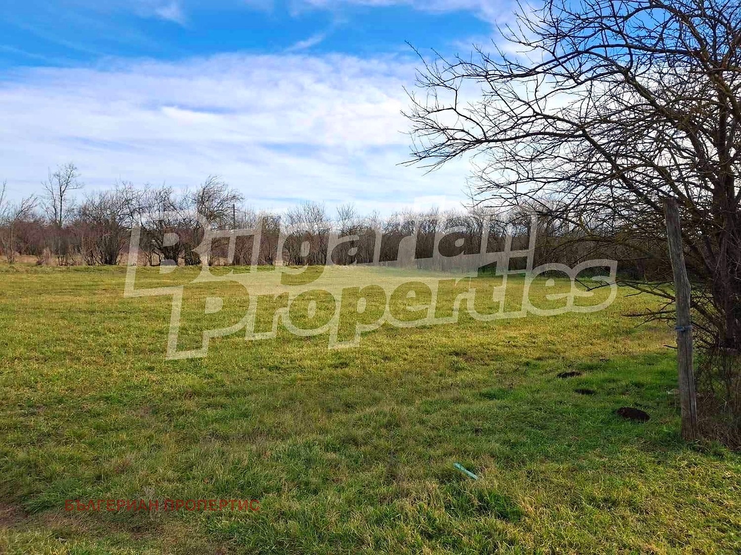 ������� ������ | Imot.bg � ����������� 5