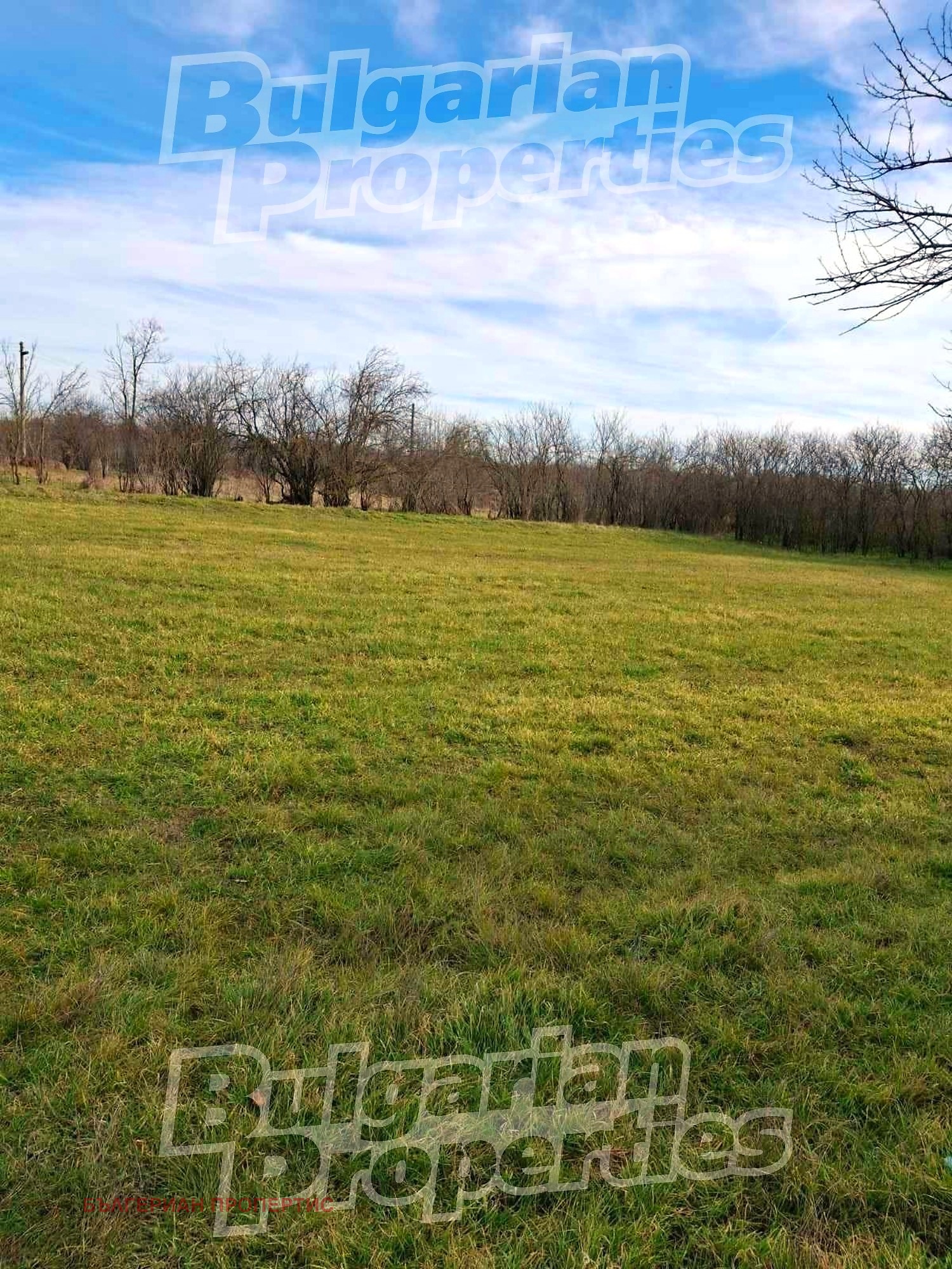 ������� ������ | Imot.bg � ����������� 4