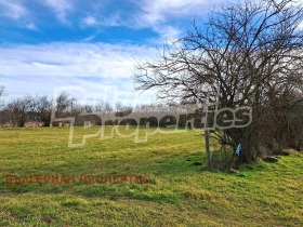 ����� ������� ������,�. ������ �������, ������ �����