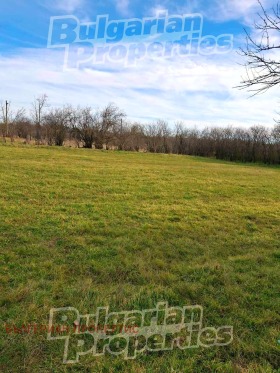 ����� ������� ������,�. ������ �������, ������ �����>