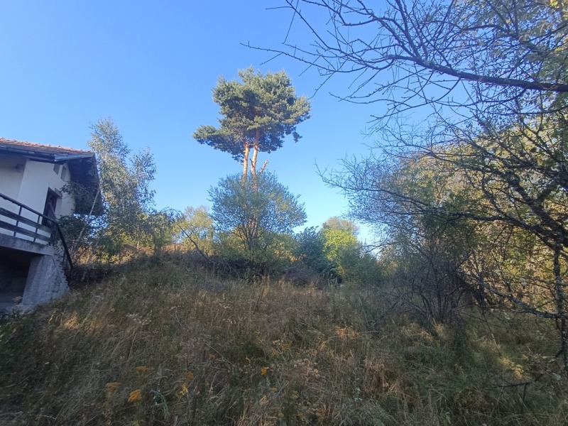 Προς πώληση  σπίτι Σοφηια , Ζελεζνητσα , 110 τ.μ | 55193352 - εικόνα [3]