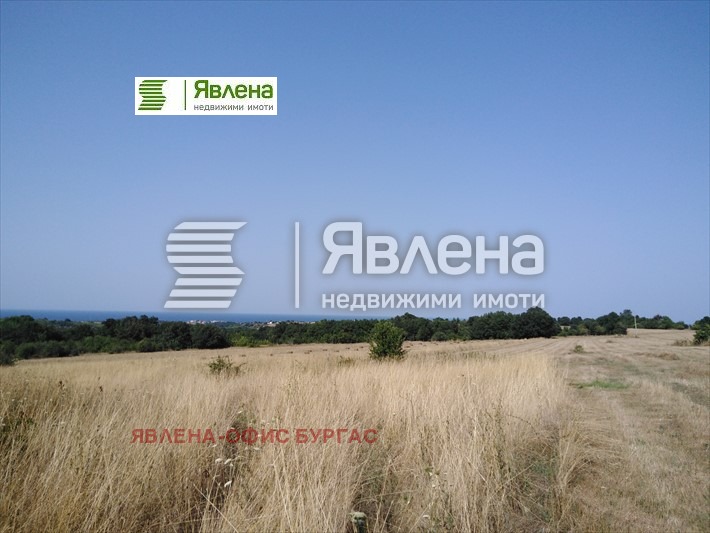 Продава ПАРЦЕЛ, с. Велика, област Бургас, снимка 3 - Парцели - 48671706