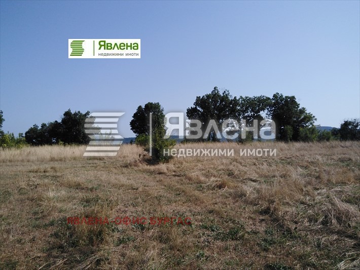 Продава ПАРЦЕЛ, с. Велика, област Бургас, снимка 1 - Парцели - 48671706