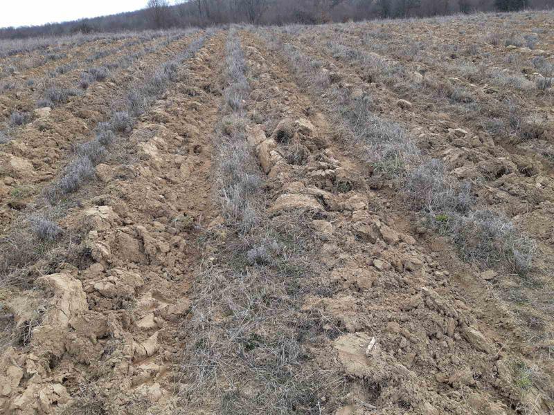 ������� ���������� ���� | Imot.bg � ����������� 4