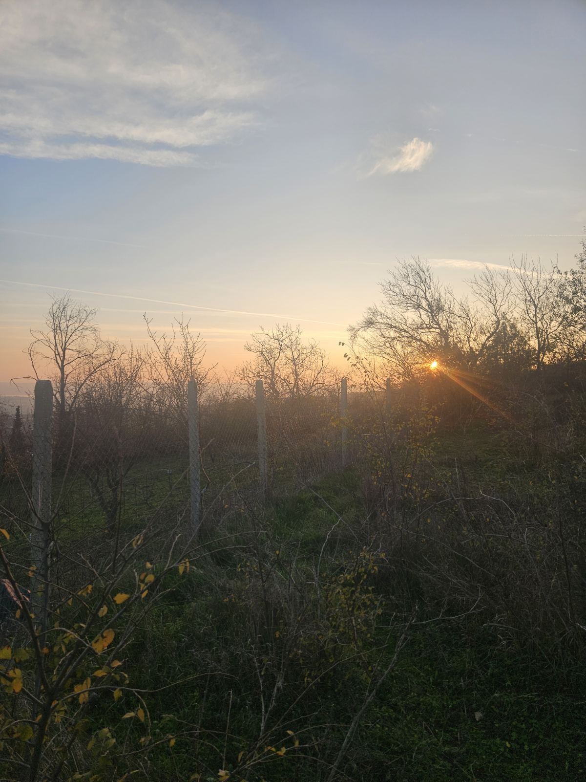 ������� ������ | Imot.bg � ����������� 4