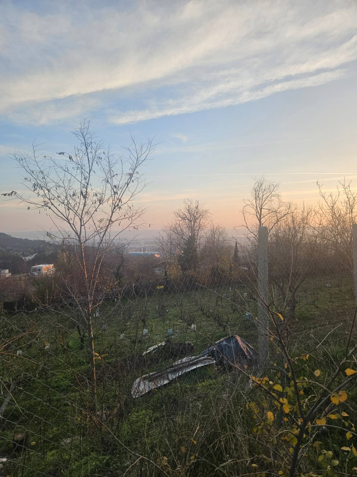 ������� ������ | Imot.bg � ����������� 3