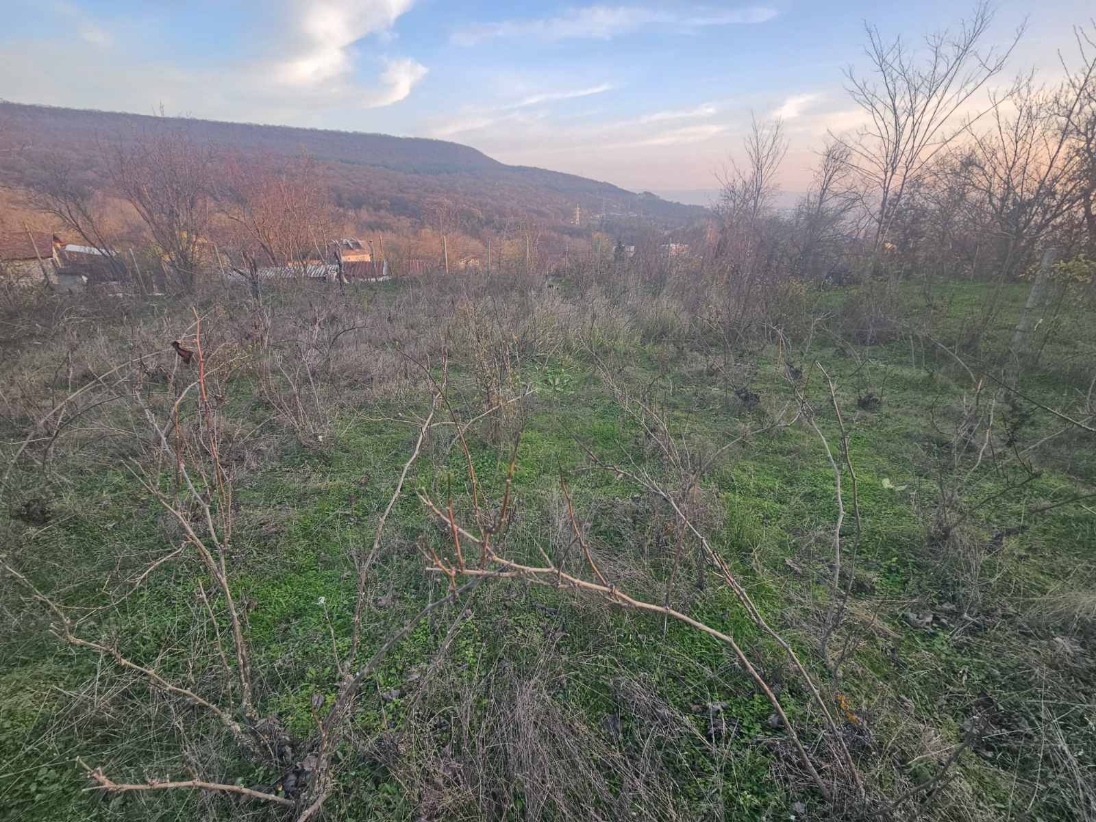 ������� ������ | Imot.bg � ����������� 6