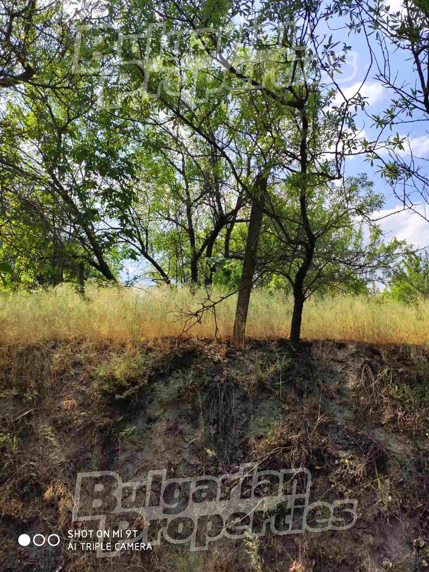 ������� ������ | Imot.bg � ����������� 4