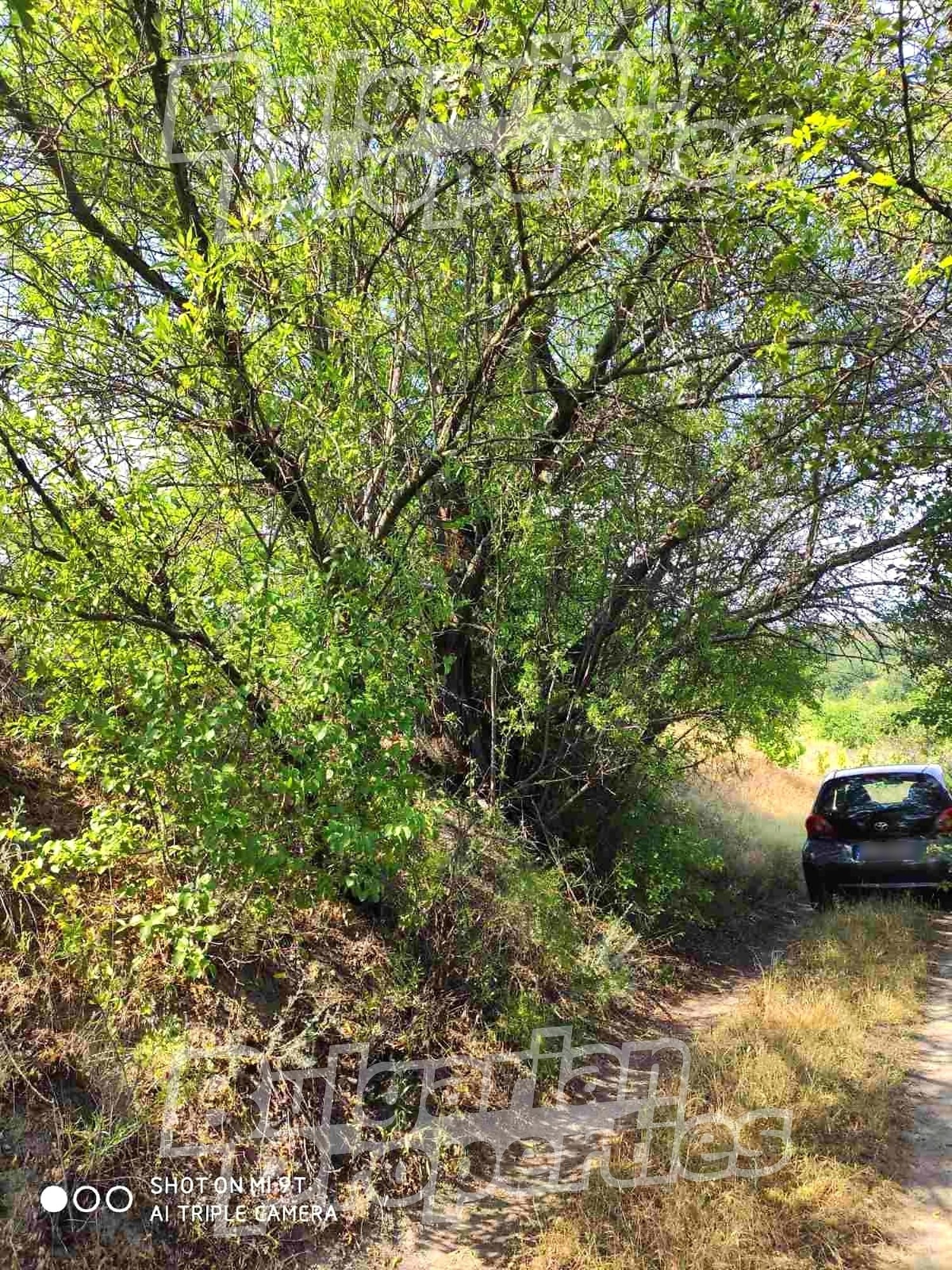 ������� ������ | Imot.bg � ����������� 5