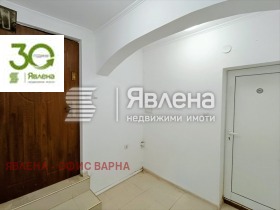 ����� ������� 3-�����,���� �����, ��������� ����