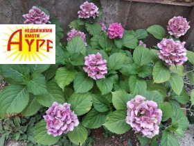 ������� ���� �� ���� | Imot.bg � ����� ������ 14