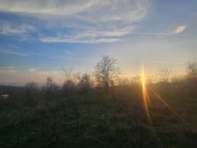 ����� ������� ������,��. ��������, ������ �����