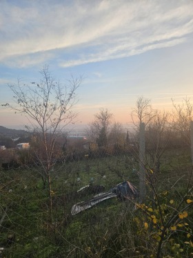 ����� ������� ������,��. ��������, ������ �����