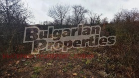 ������� ������ | Imot.bg � ����� ������ 14