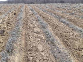 ������� ���������� ���� | Imot.bg � ����� ������ 5