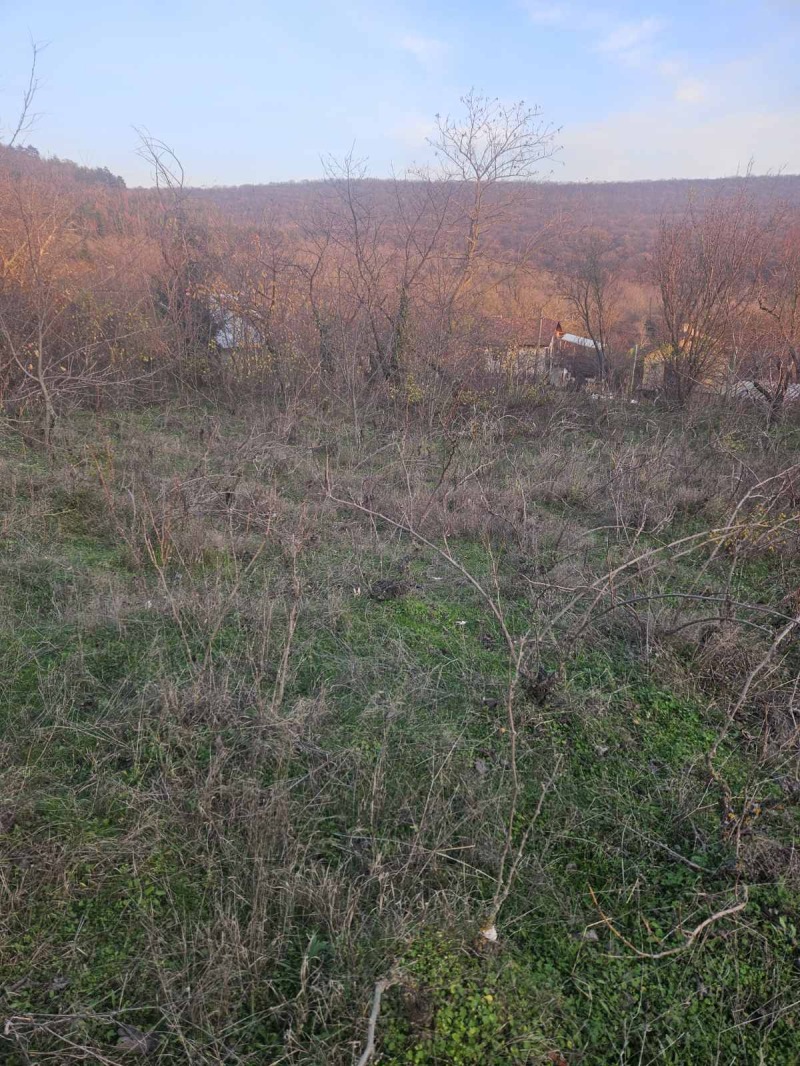 Продава ПАРЦЕЛ, гр. Аксаково, област Варна, снимка 7 - Парцели - 52822650