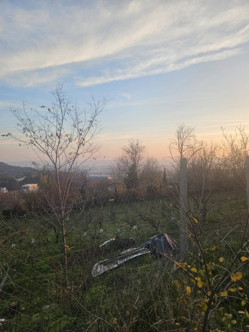 Продава ПАРЦЕЛ, гр. Аксаково, област Варна, снимка 3 - Парцели - 52822650