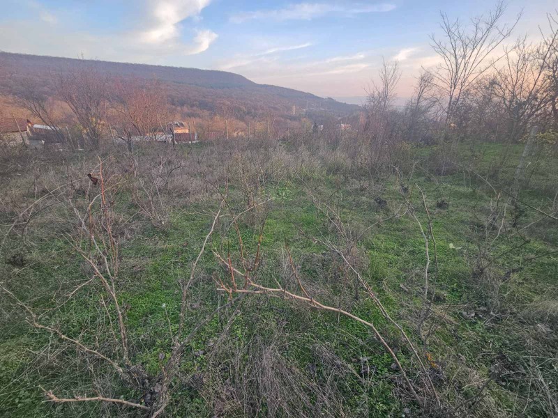 Продава ПАРЦЕЛ, гр. Аксаково, област Варна, снимка 2 - Парцели - 52822650