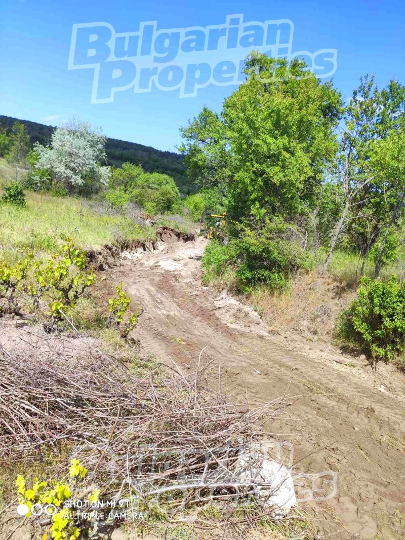 Продава ПАРЦЕЛ, гр. Игнатиево, област Варна, снимка 3 - Парцели - 53183148