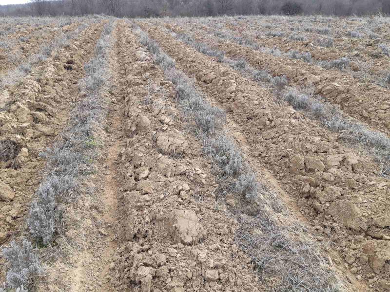 Продава ЗЕМЕДЕЛСКА ЗЕМЯ, гр. Омуртаг, област Търговище, снимка 5 - Земеделска земя - 53842512