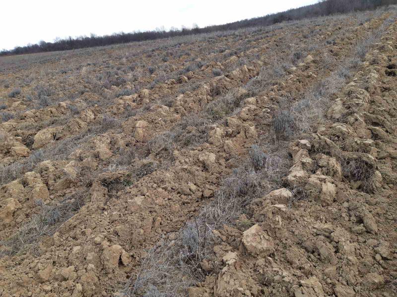 Продава ЗЕМЕДЕЛСКА ЗЕМЯ, гр. Омуртаг, област Търговище, снимка 6 - Земеделска земя - 53842512