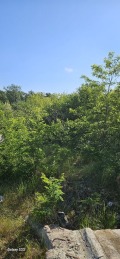 Продава ПАРЦЕЛ, гр. Варна, м-т Боровец - север, снимка 3