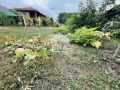 Продава КЪЩА, област Ловеч, с. Дойренци • 89476 € • 30647747 — Holmes.bg