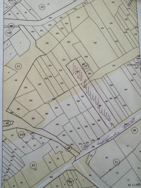 ������ ������� ���������� ����